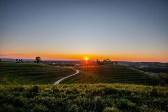 Vila Kuca Za Odmor "Nedeljko"/ Holliday Hause "Nedeljko" Sveti Martin Na Muri Exteriér fotografie