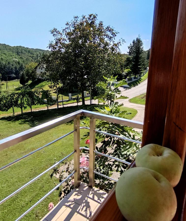 Vila Kuca Za Odmor "Nedeljko"/ Holliday Hause "Nedeljko" Sveti Martin Na Muri Exteriér fotografie