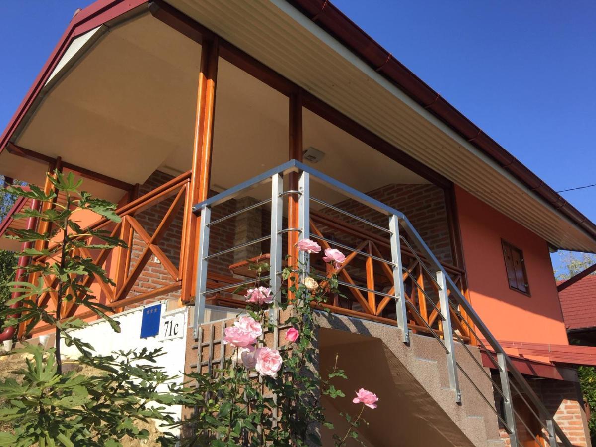 Vila Kuca Za Odmor "Nedeljko"/ Holliday Hause "Nedeljko" Sveti Martin Na Muri Exteriér fotografie